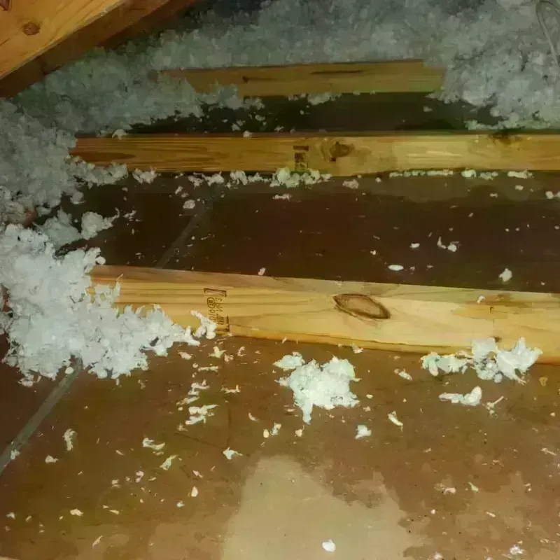 Attic Water Damage in Hillsborough, NC